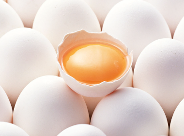 新鮮な生卵を使い、毎日優しく手ごねしてパテを作ります。